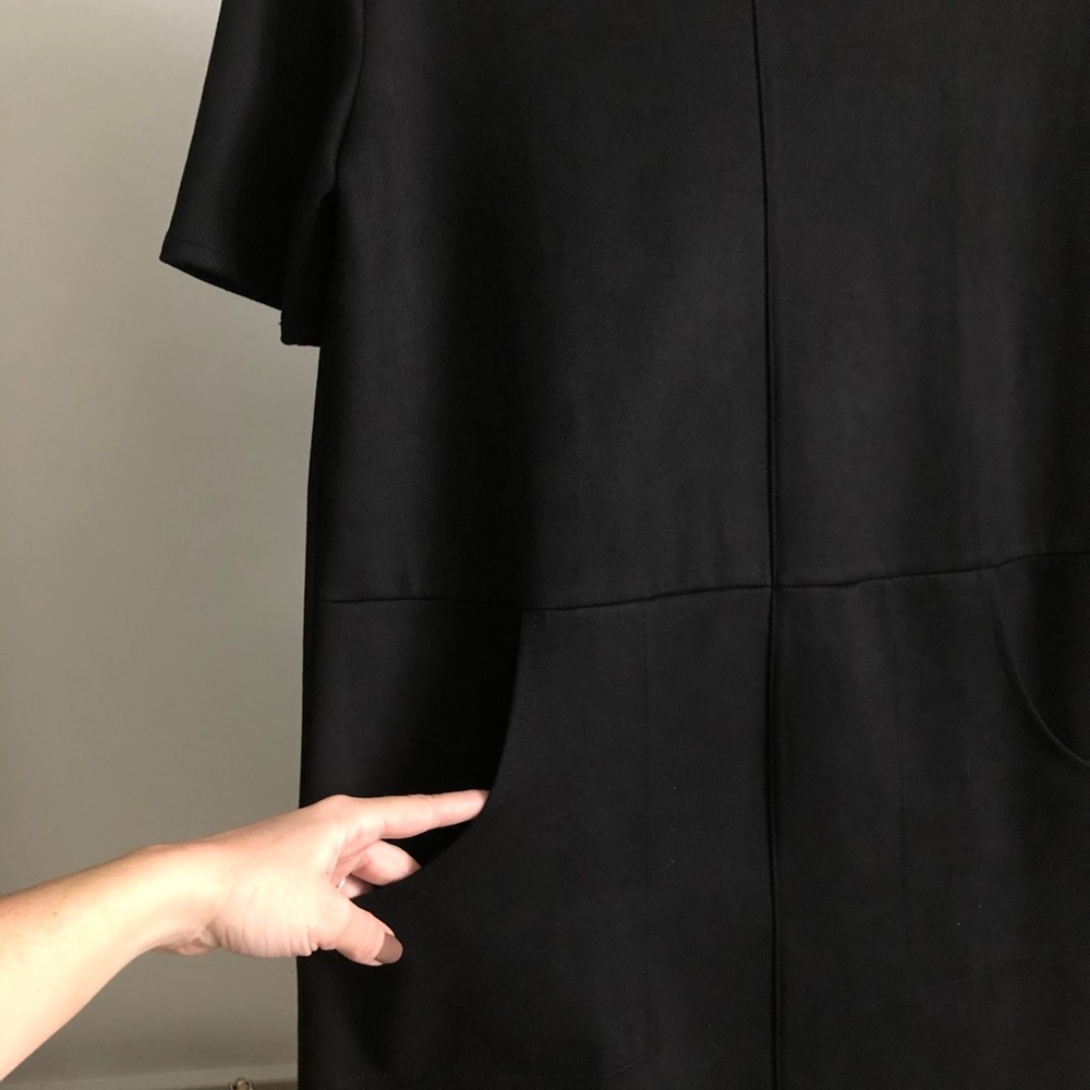 Zara Faux Suede Dress - Picture 2 of 4